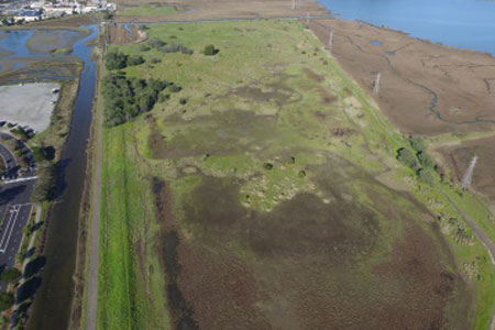 Corte Madera Marsh Restoratoin
